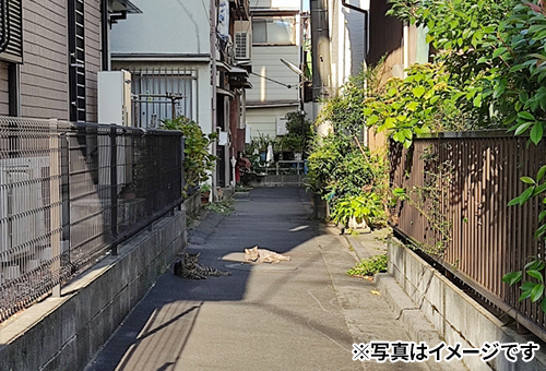 再建築不可