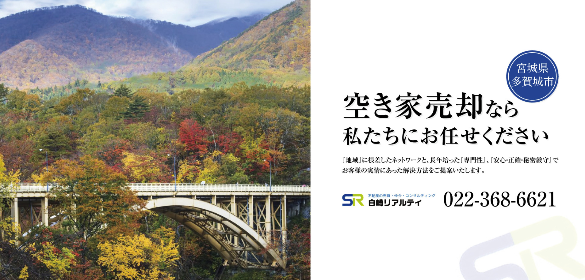 白崎リアルティ