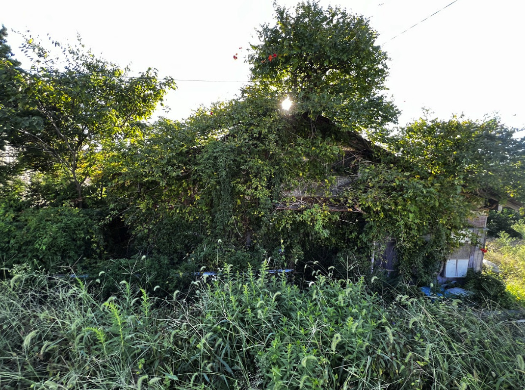 愛知、買取事例1